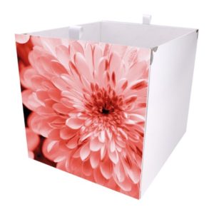Kallax Box rosa Blume
